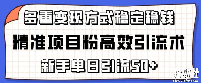 精准项目粉高效引流术，新手单日引流50+，多重变现方式稳定賺米【揭秘】
