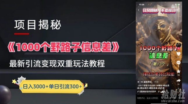 一千个野路子信息差最新玩法教程-变现+引流的玩法具体拆解【揭秘】