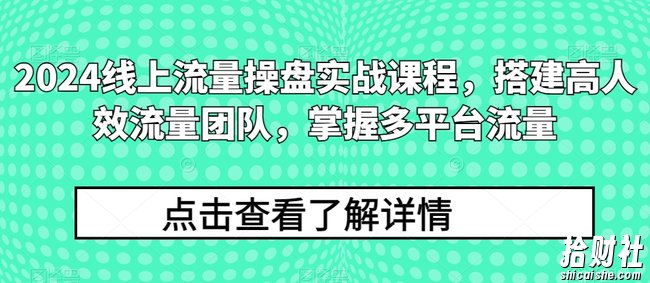 2024线上流量操盘实战课程,搭建高人效流量团队,掌握多平台流量
