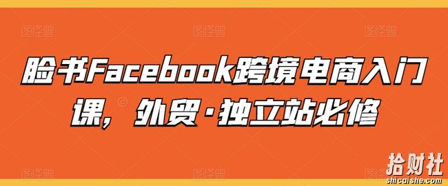 脸书Facebook跨境电商入门课,外贸·独立站必修