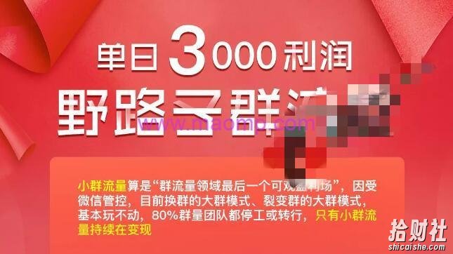 财神大咖会:野路子群流量项目,单日赚取3000利润