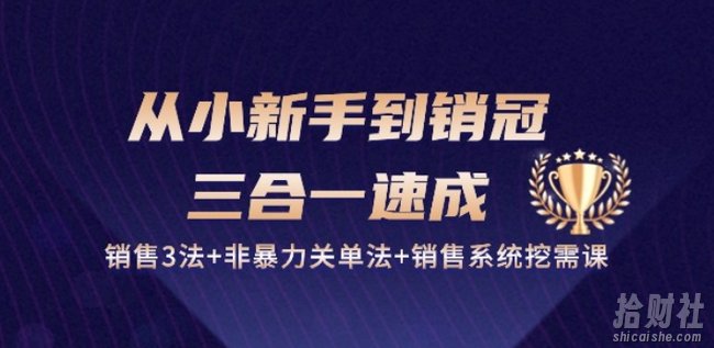 从小新手到销冠 三合一速成:销售3法+非暴力关单法+销售系统挖需课 (27节)