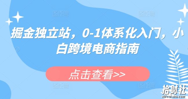 掘金独立站,0-1体系化入门,小白跨境电商指南