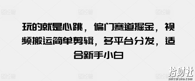玩的就是心跳,偏门赛道掘金,视频搬运简单剪辑,多平台分发,适合新手小白【揭秘】