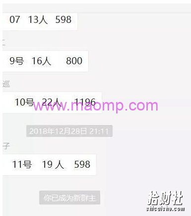 黄岛主：蓝海母婴项目,日赚500-1000+