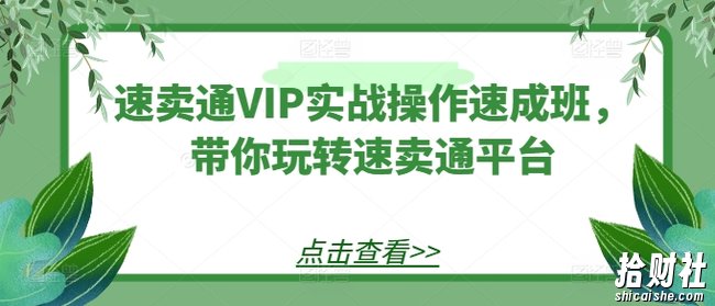 速卖通VIP实战操作速成班,带你玩转速卖通平台
