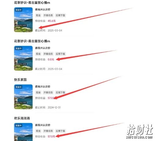 磁力聚星游戏副业陪跑训练营1.0,长期稳定项目,有人一周干了1K+