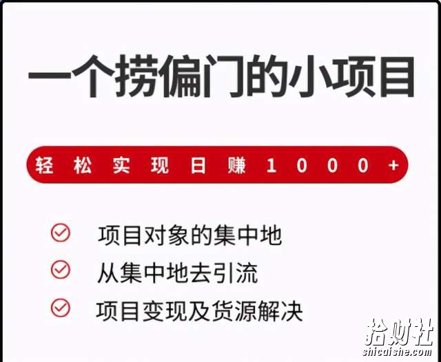 柚子团队课程：一个捞偏门的小项目，轻松实现日赚1000+
