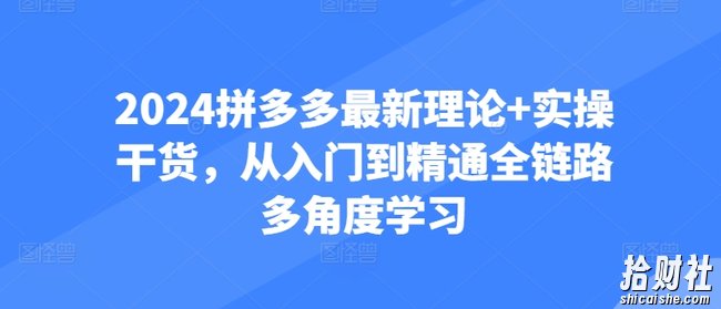 2024拼多多最新理论+实操干货,从入门到精通全链路多角度学习