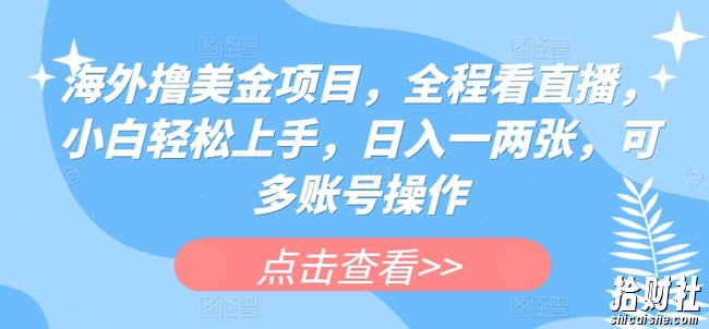 海外撸美金项目，全程看直播，小白轻松上手，日入一两张，可多账号操作【揭秘】