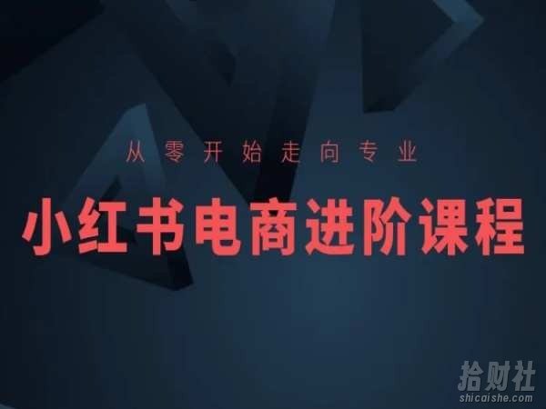 从零开始走向专业,小红书电商进阶课程