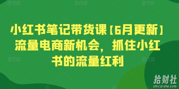 小红书笔记带货课【6月更新】流量电商新机会，抓住小红书的流量红利