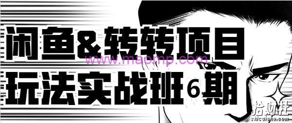 宅男闲鱼《2019闲鱼&转转项目玩法实战班》线上第六期（完整视频+文档）