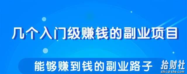 柚子团队内部课程：教你一些能够赚到钱的副业路子，每天轻松多赚几十几百元！