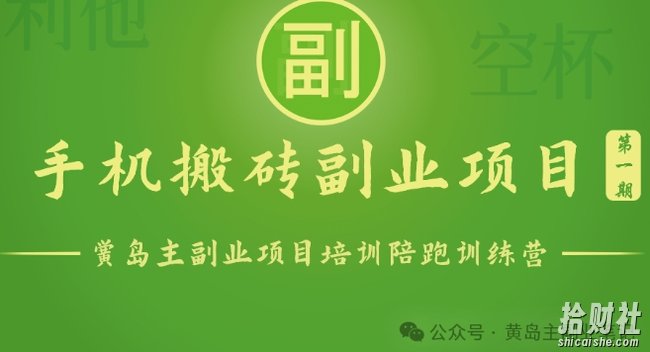 手机搬砖小副业项目训练营1.0,实测1小时收益50+,一部手机轻松日入100+