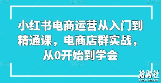 小红书电商运营从入门到精通课，电商店群实战，从0开始到学会