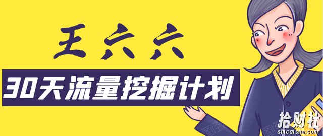 王六六30天流量挖掘计划，从零开始打造一套精准流量挖掘体系