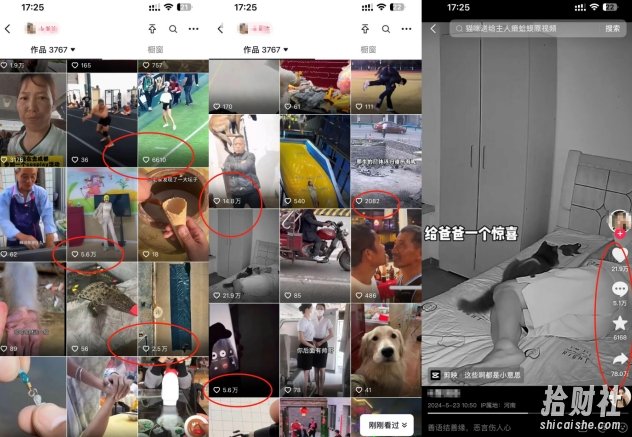 抖音最新双图文卡模板搬运技术，安卓苹果通用，百万千万播放嘎嘎爆