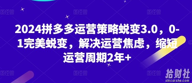 2024拼多多运营策略蜕变3.0,0-1完美蜕变,解决运营焦虑,缩短运营周期2年+