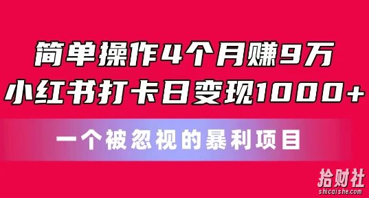 简单操作4个月赚9w,小红书打卡日变现1k,一个被忽视的暴力项目【揭秘】