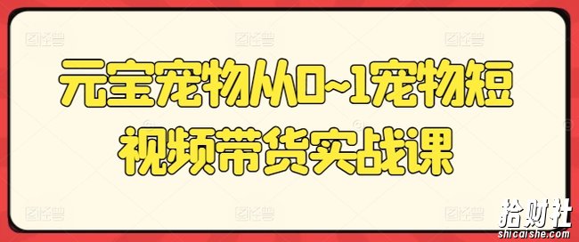 元宝宠物从0~1宠物短视频带货实战课