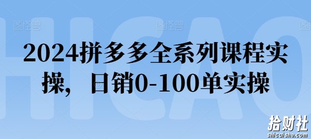 2024拼多多全系列课程实操,日销0-100单实操【必看】