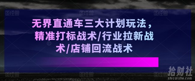 无界直通车三大计划玩法，精准打标战术/行业拉新战术/店铺回流战术