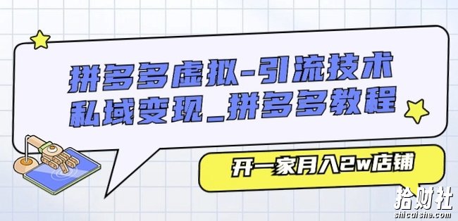 拼多多虚拟-引流技术与私域变现_拼多多教程：开一家月入2w店铺