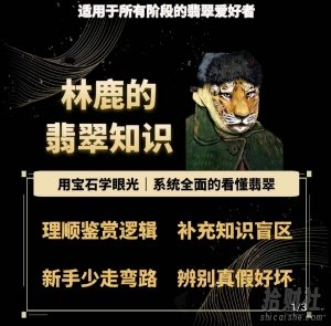 林鹿的翡翠知识,用宝石眼光,系统全面的看懂翡翠
