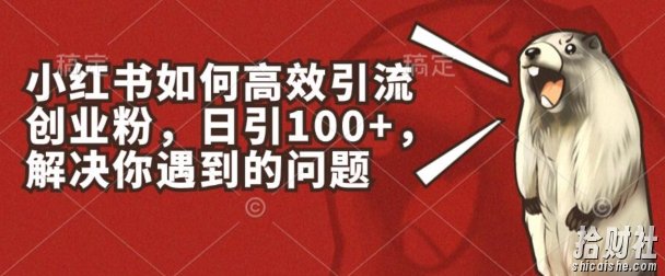 小红书如何高效引流创业粉,日引100+,解决你遇到的问题【揭秘】