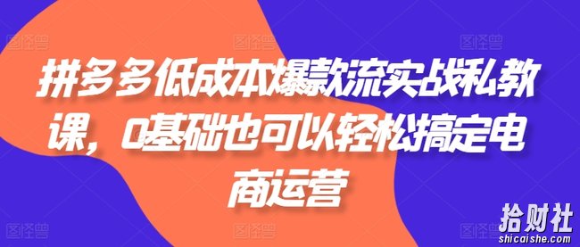 拼多多低成本爆款流实战私教课，0基础也可以轻松搞定电商运营