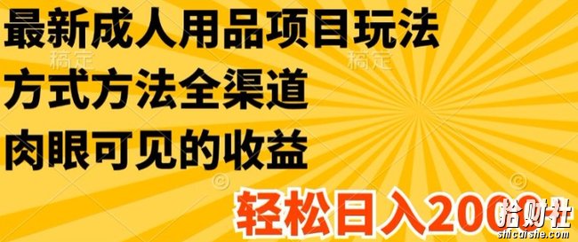 最新成人用品项目玩法,方式方法全渠道,轻松日入2K+【揭秘】