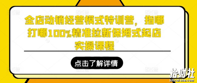 全店动销经营模式特训营,指哪打哪100%精准拉新保姆式起店实操课程