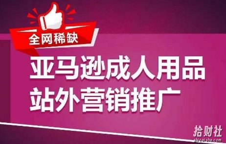 全网稀缺!亚马逊成人用品站外营销推广,教你引爆站外流量,开启爆单模式