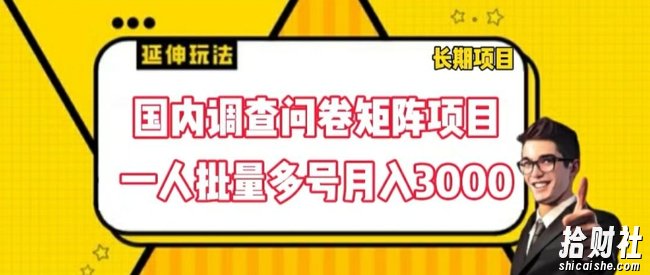 国内调查问卷矩阵项目,一人批量多号月入3000【揭秘】