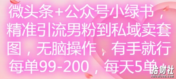 微头条+公众号小绿书,精准引流男粉到私域卖套图,无脑操作,有手就行,每单99-200,每天5单
