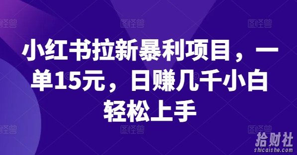 小红书拉新暴利项目,一单15元,日赚几千小白轻松上手【揭秘】
