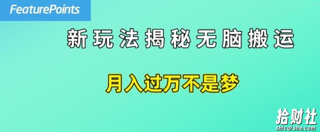 简单操作,每天50美元收入,搬运就是賺米的秘诀【揭秘】