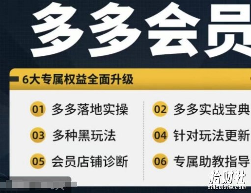 拼多多会员,拼多多实战宝典+实战落地实操,从新手到高阶内容全面覆盖