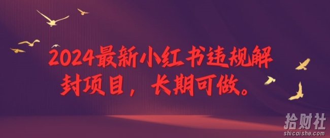 2024最新小红书违规解封项目，长期可做，一个可以做到退休的项目【揭秘】