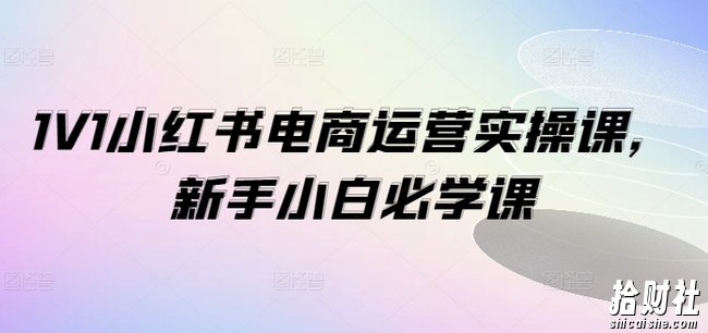 1V1小红书电商运营实操课,新手小白必学课
