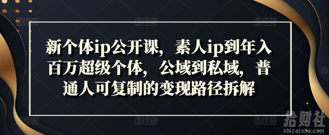 新个体ip公开课，素人ip到年入百万超级个体，公域到私域，普通人可复制的变现路径拆解