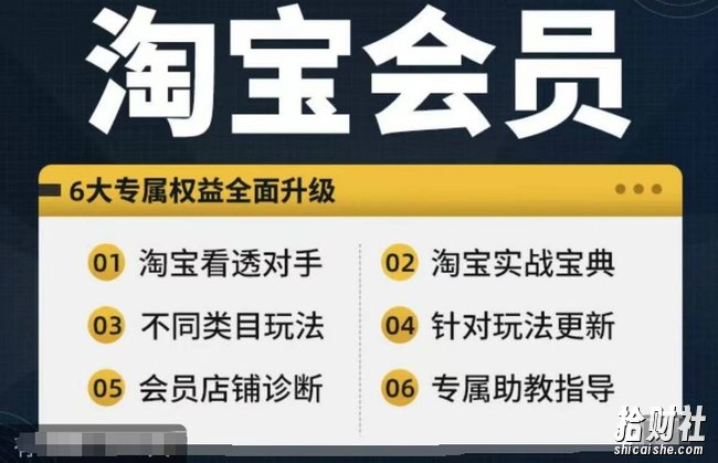 淘宝会员【淘宝所有课程,全面分析对手】,初级到高手全系实战宝典