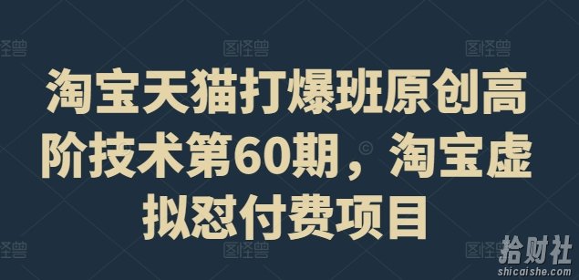 淘宝天猫打爆班原创高阶技术第60期，淘宝虚拟怼付费项目