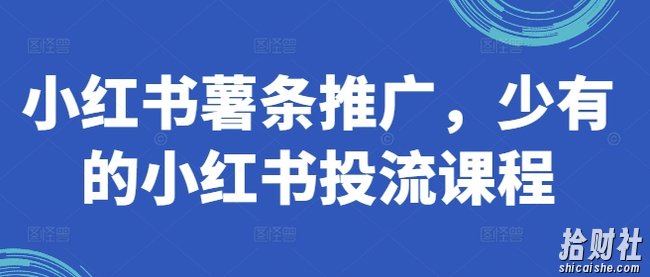 小红书薯条推广，少有的小红书投流课程
