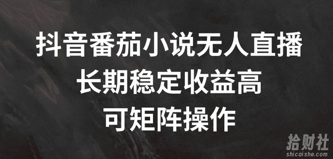抖音番茄小说无人直播，长期稳定收益高，可矩阵操作【揭秘】