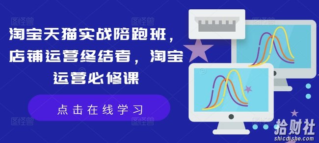 淘宝天猫实战陪跑班,店铺运营终结者,淘宝运营必修课