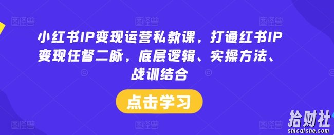 小红书IP变现运营私教课，打通红书IP变现任督二脉，底层逻辑、实操方法、战训结合