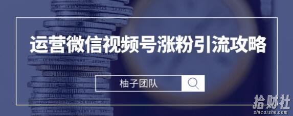 手把手教你运营微信视频号涨粉引流攻略,轻松涨粉10W+【视频课程】