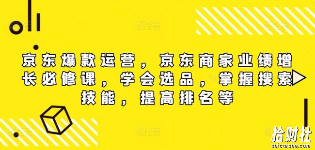 京东爆款运营,京东商家业绩增长必修课(无水印版),学会选品,掌握搜索技能,提高排名等